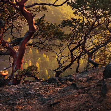 Mountain Meditation Mural Wallpaper - Image 6