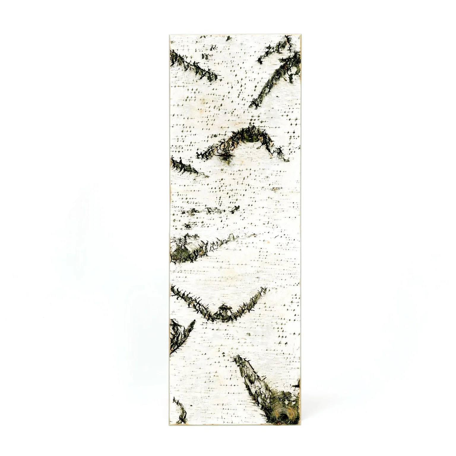 Moya Seina Birch Bark Wall Panels