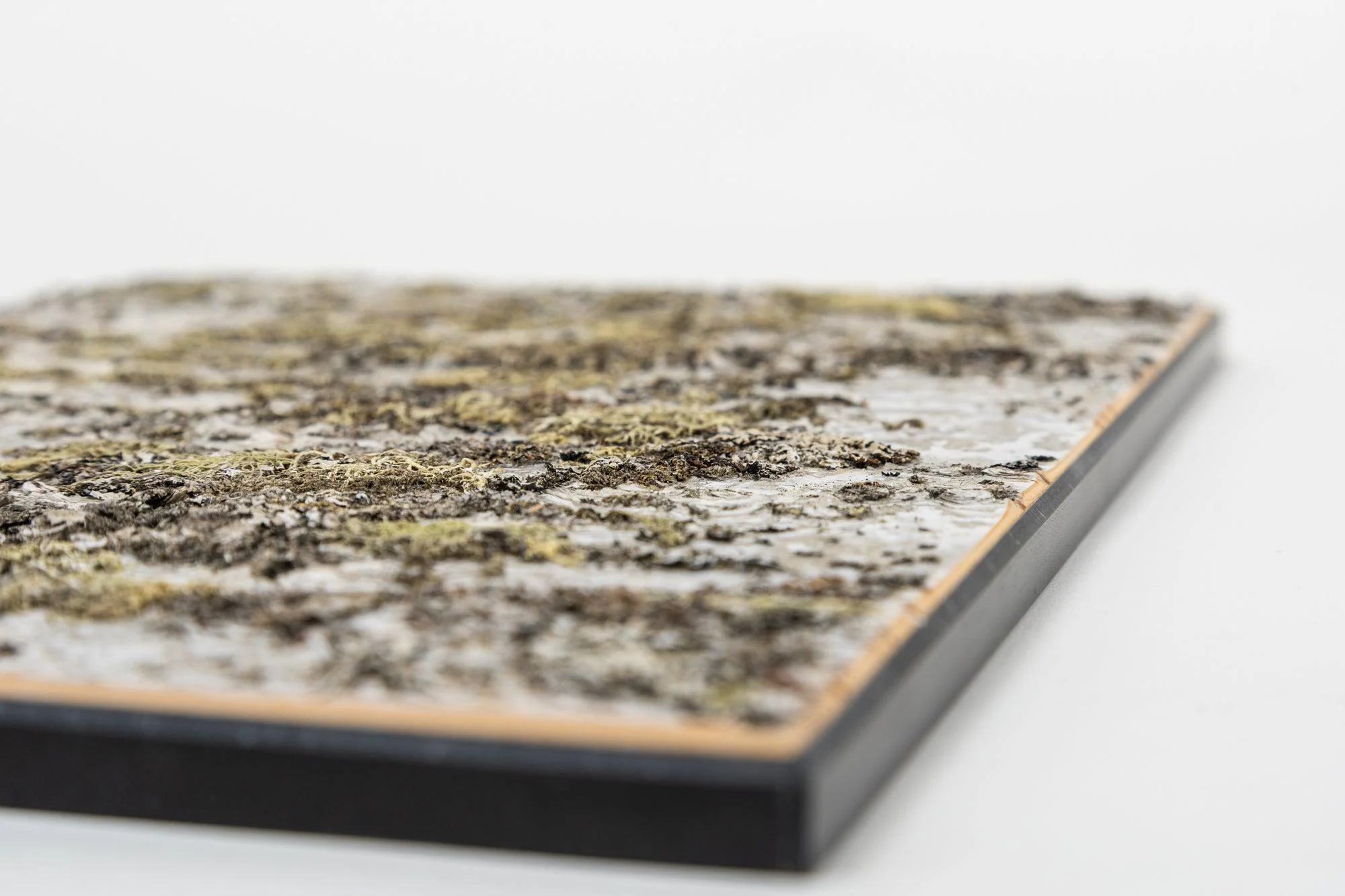 Moya Seina Birch Bark Wall Panel - Image 9