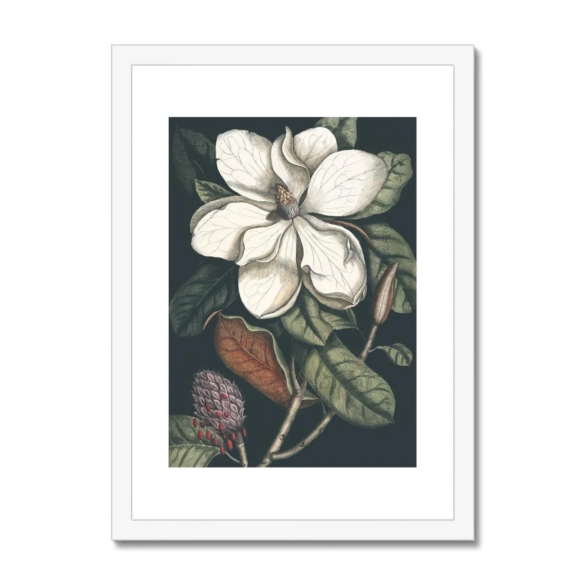 Nature Romance Framed & Mounted Print - Image 3