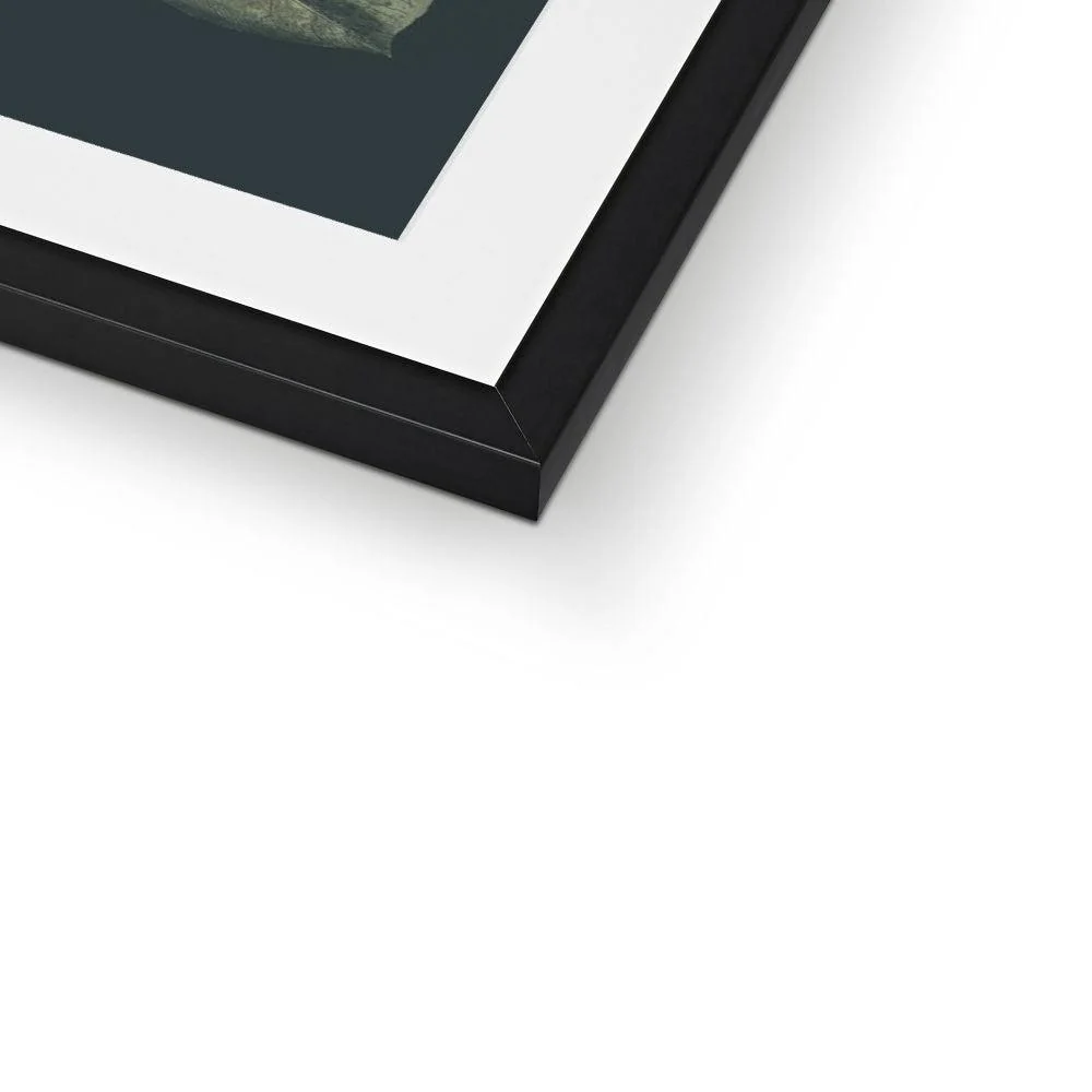 Nature Romance Framed & Mounted Print - Image 4