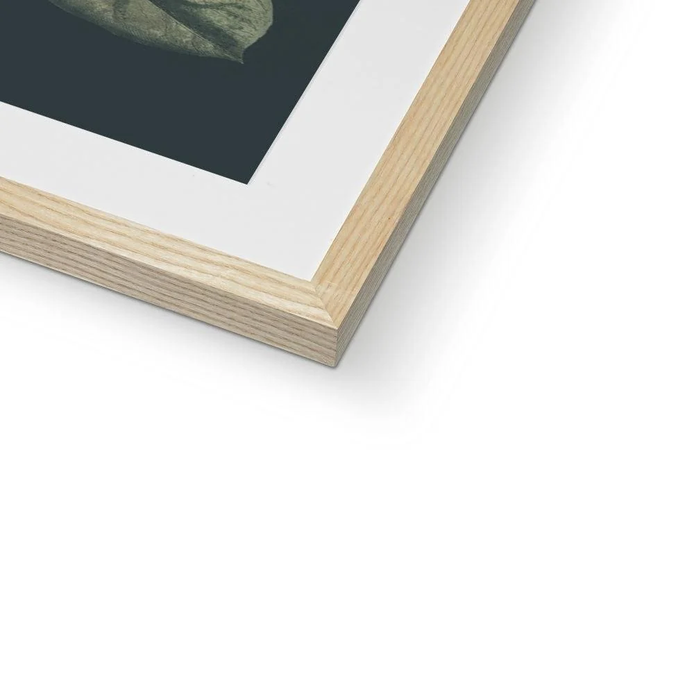 Nature Romance Framed & Mounted Print - Image 6