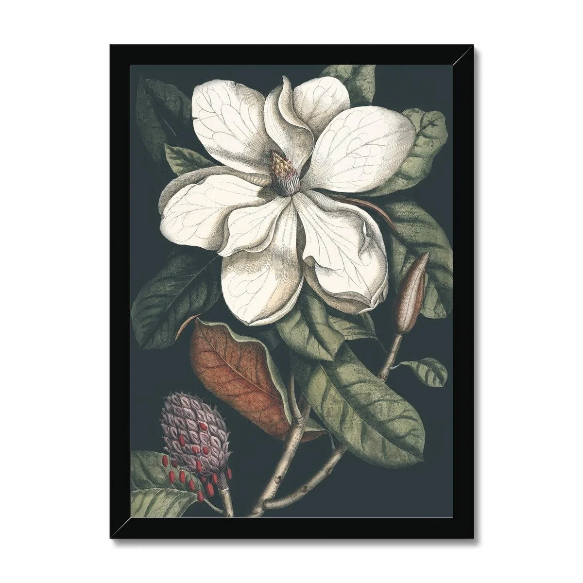Nature Romance Framed Print - Image 2