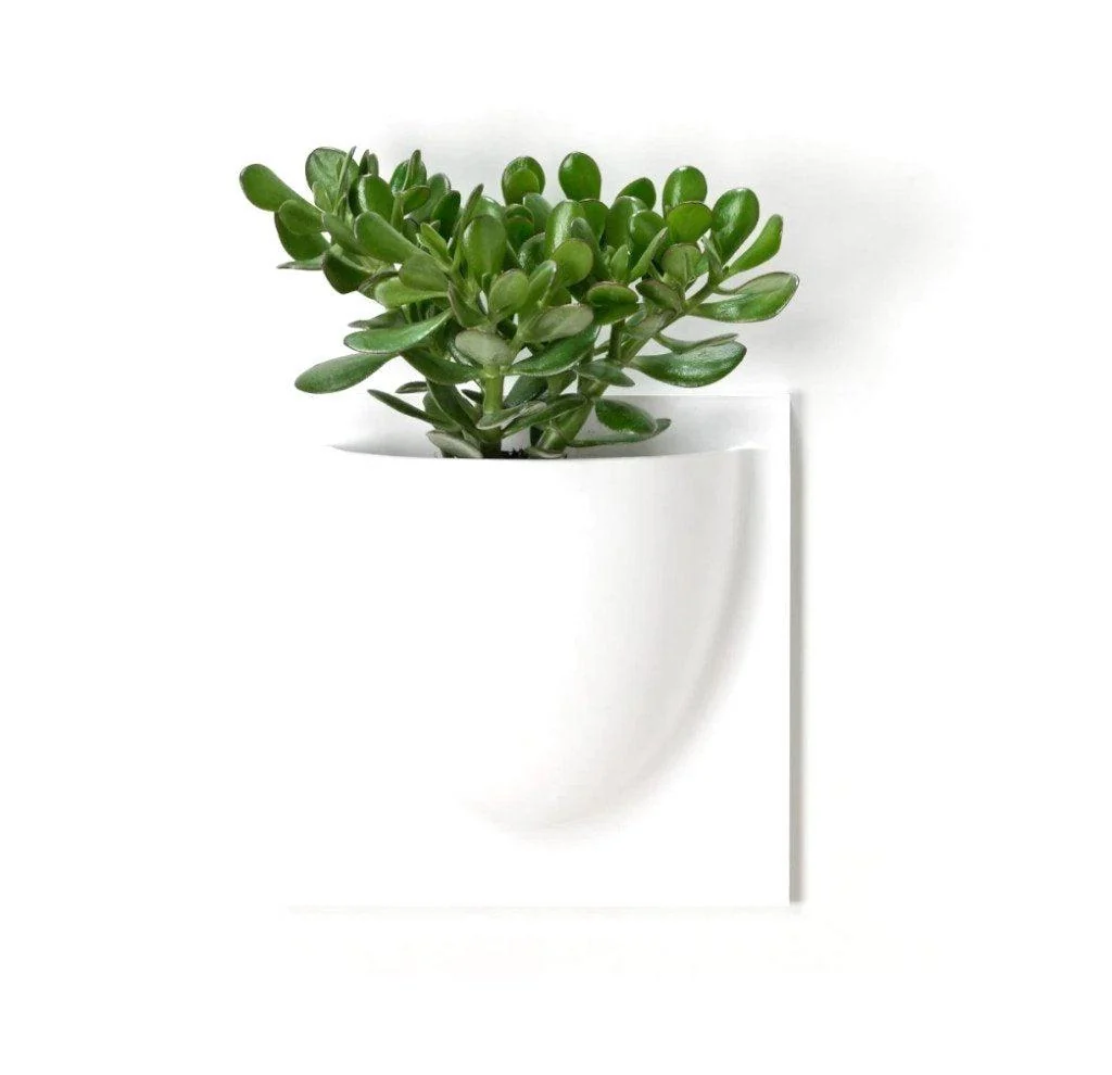 Oyster White VertiPlant Bio Wall Container - Image 6