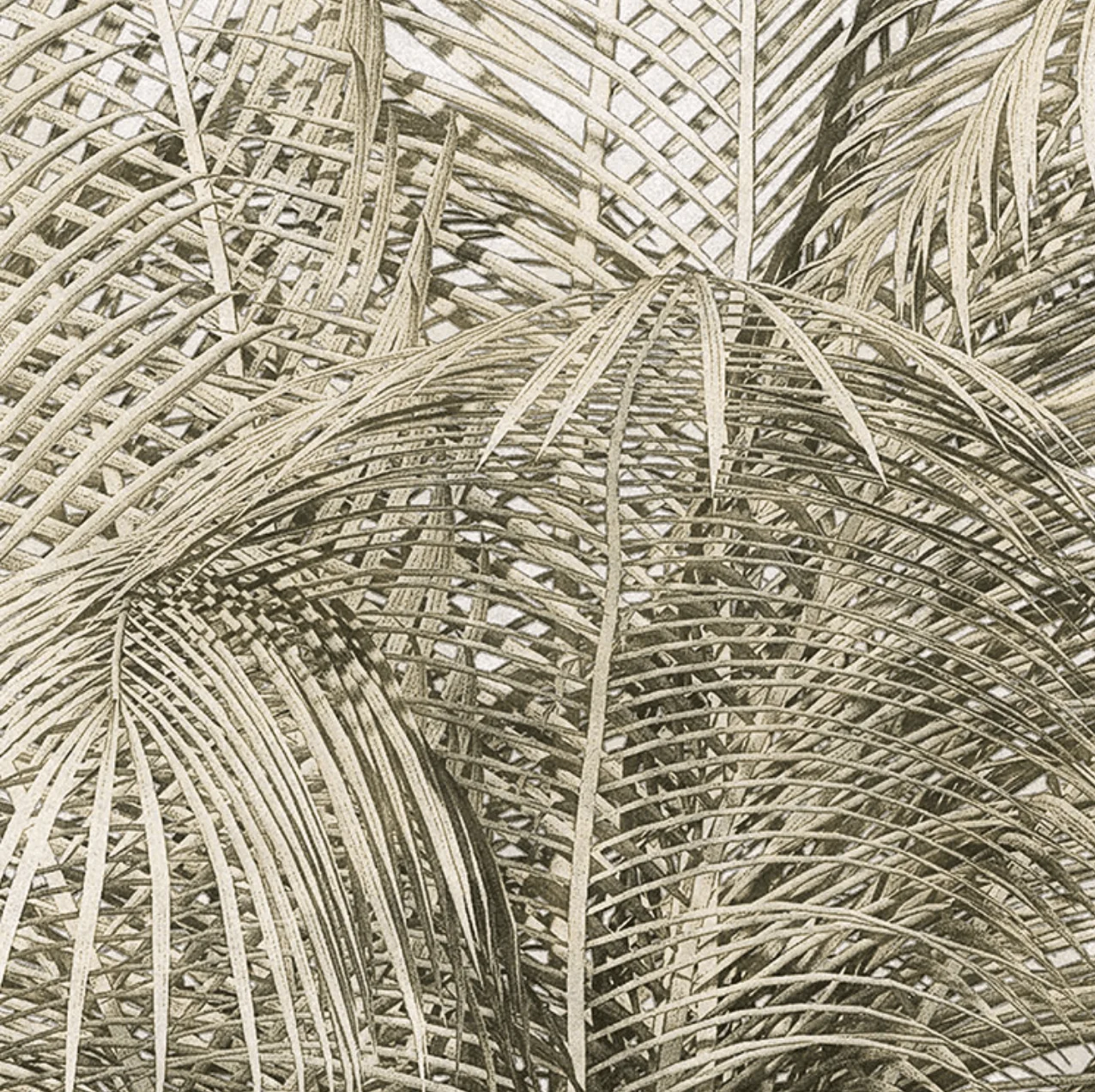 Palm Tree Circle Wallpaper (Self-Adhesive) - Image 6