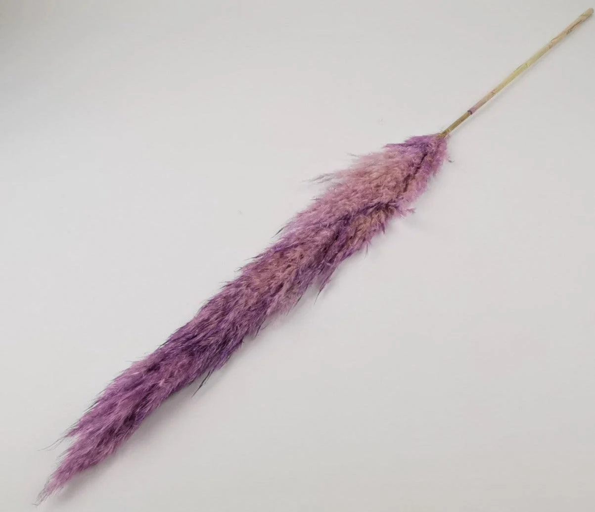 French Purple Pampas Bouquet - Image 3