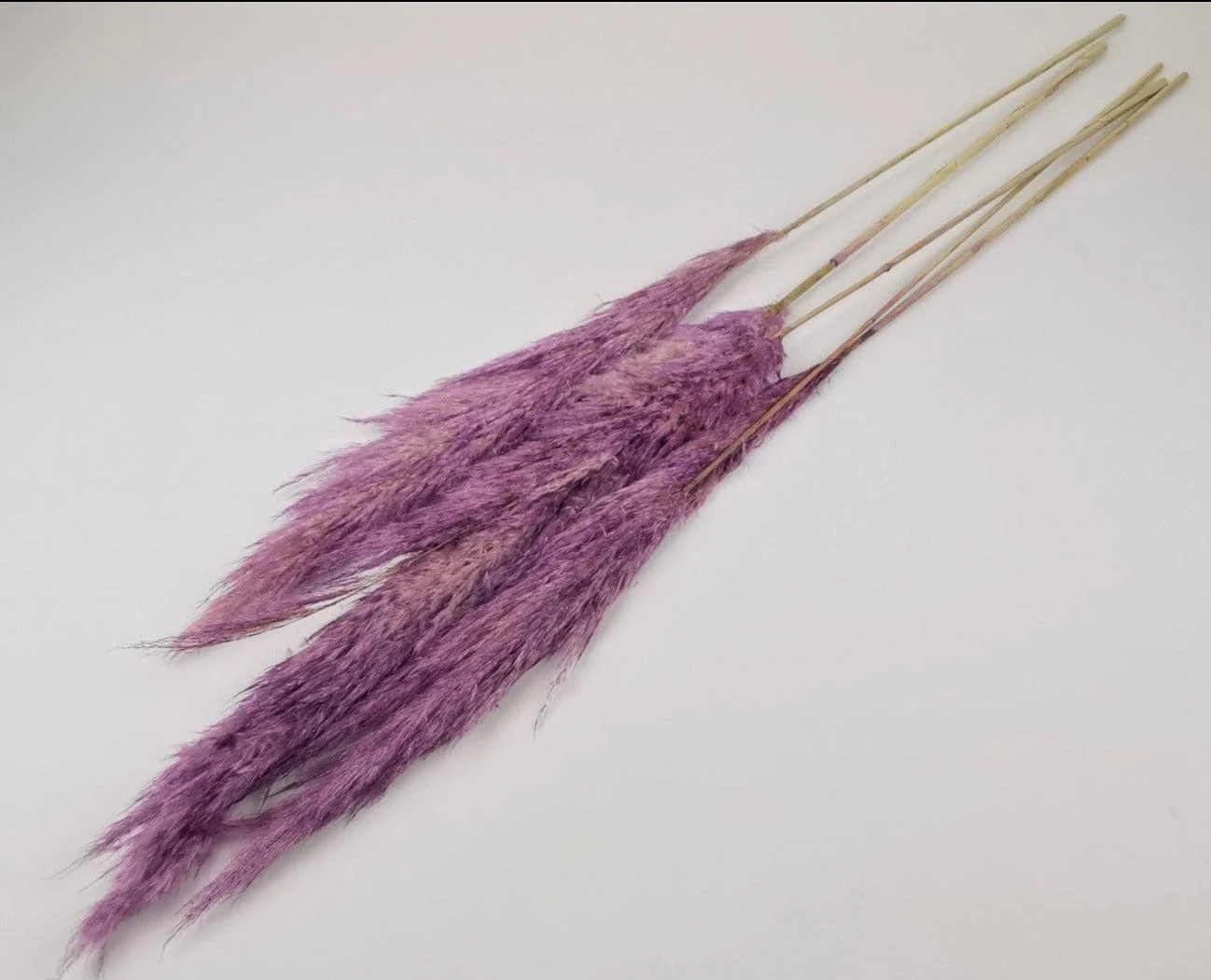 French Purple Pampas Bouquet - Image 4