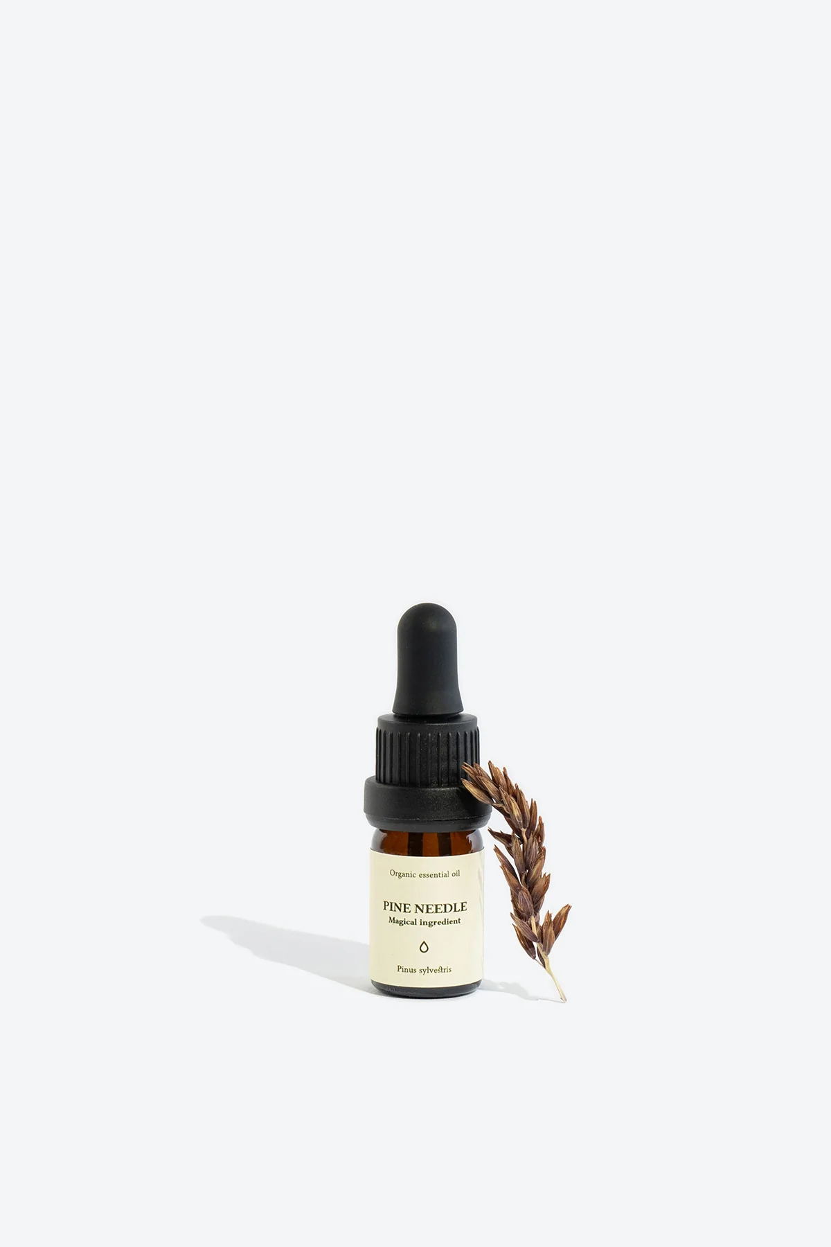 Pine Needle Organic Essential Oil - Image 3