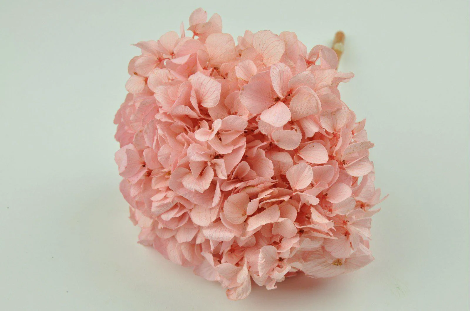 Pink Hydrangea Bouquets - Image 3