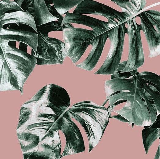 Pink Monstera Mural Wallpaper - Image 9