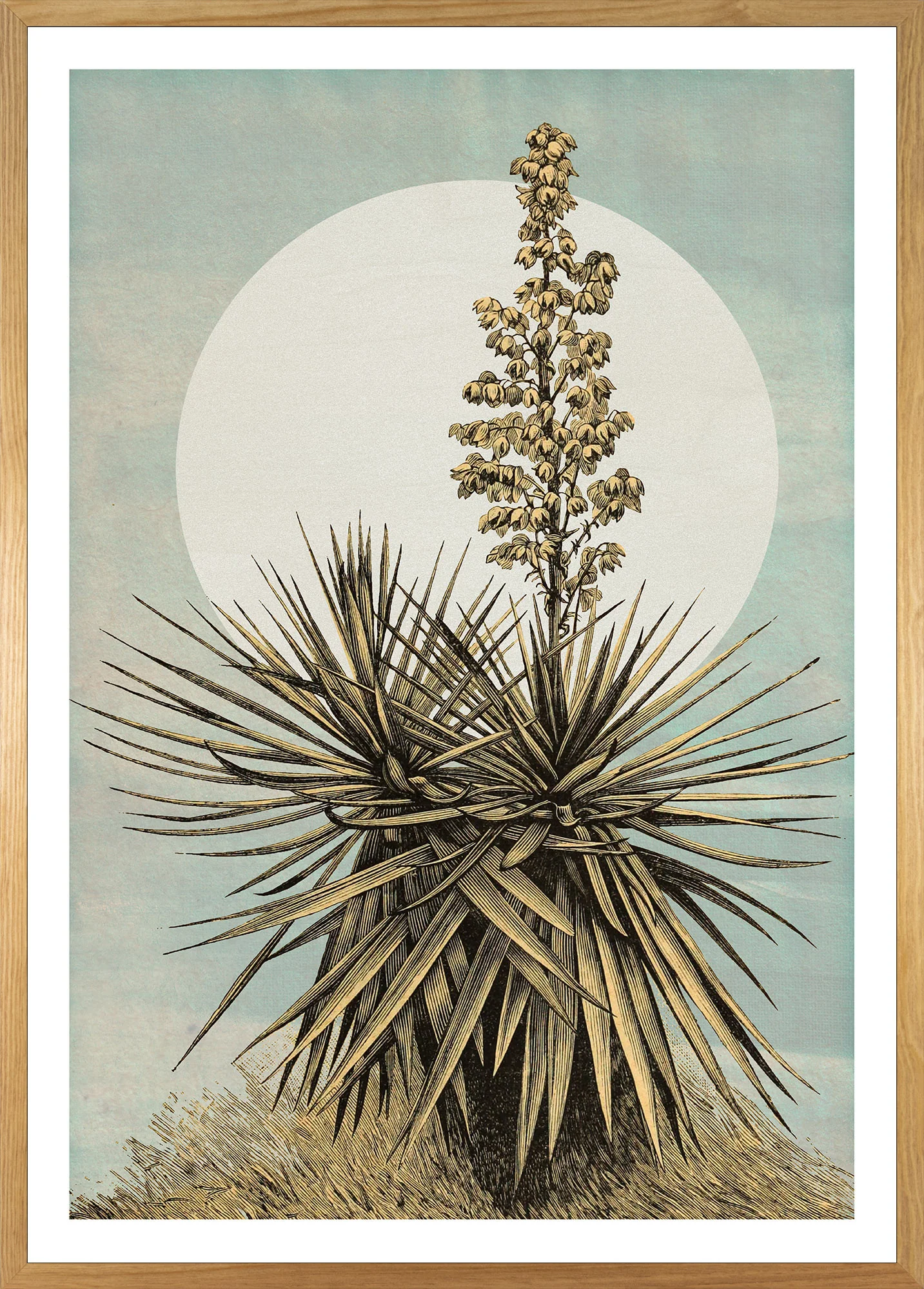 Plans de Lagon Art Poster