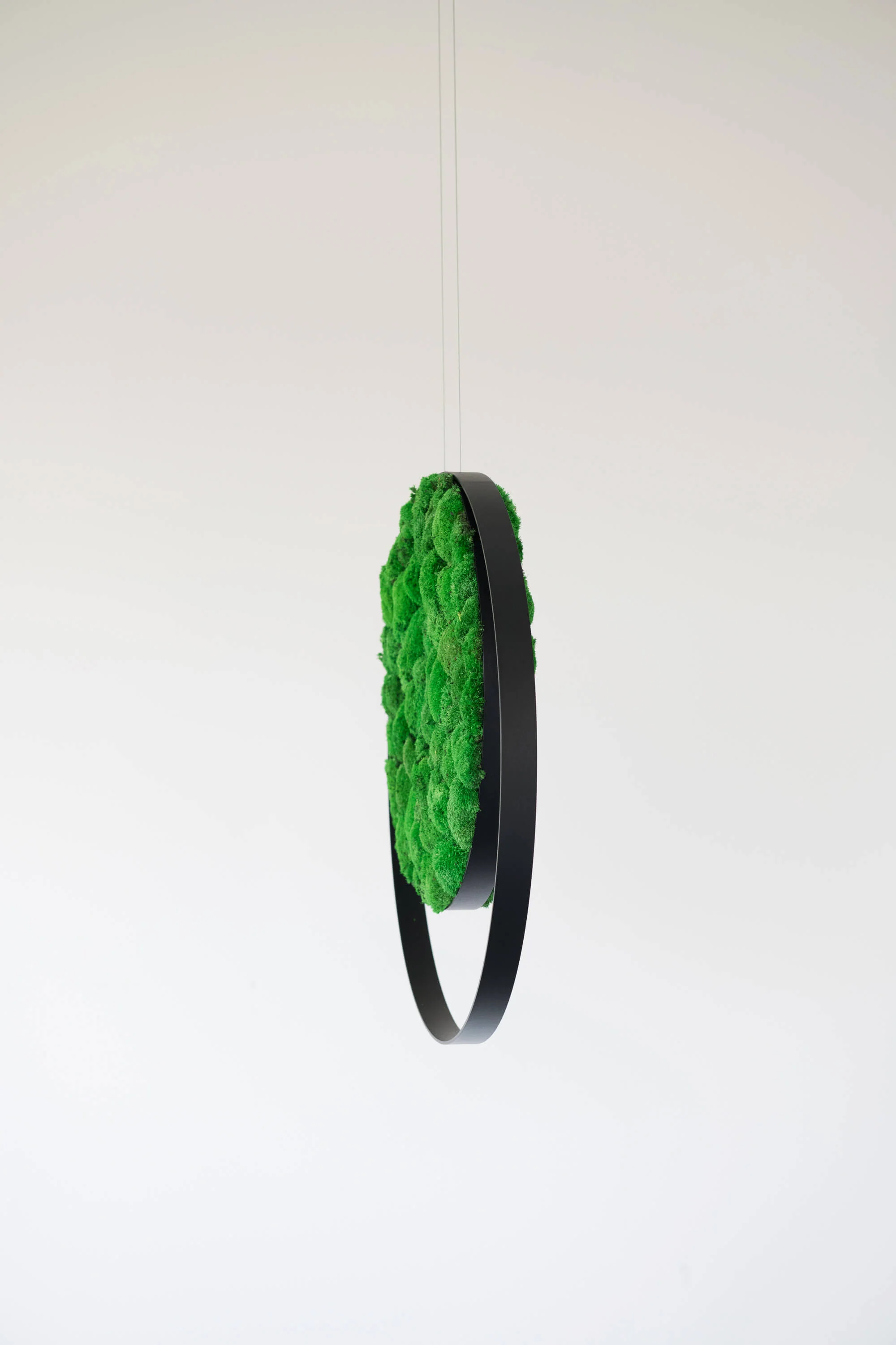 Hanging Plant and Moss Rings - Image 6