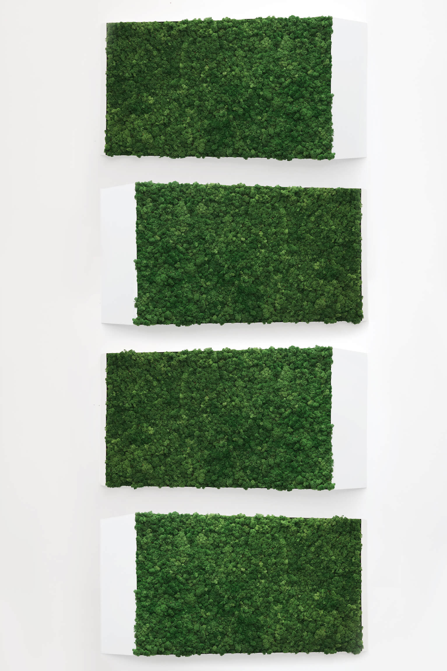 3D Lines Plant & Moss Wall Art - Image 14