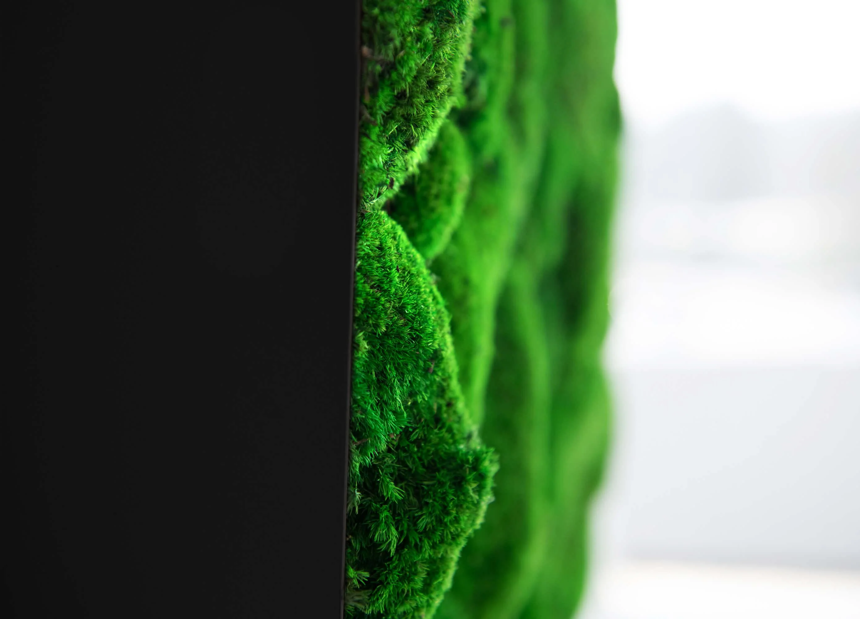 3D Lines Plant & Moss Wall Art - Image 9