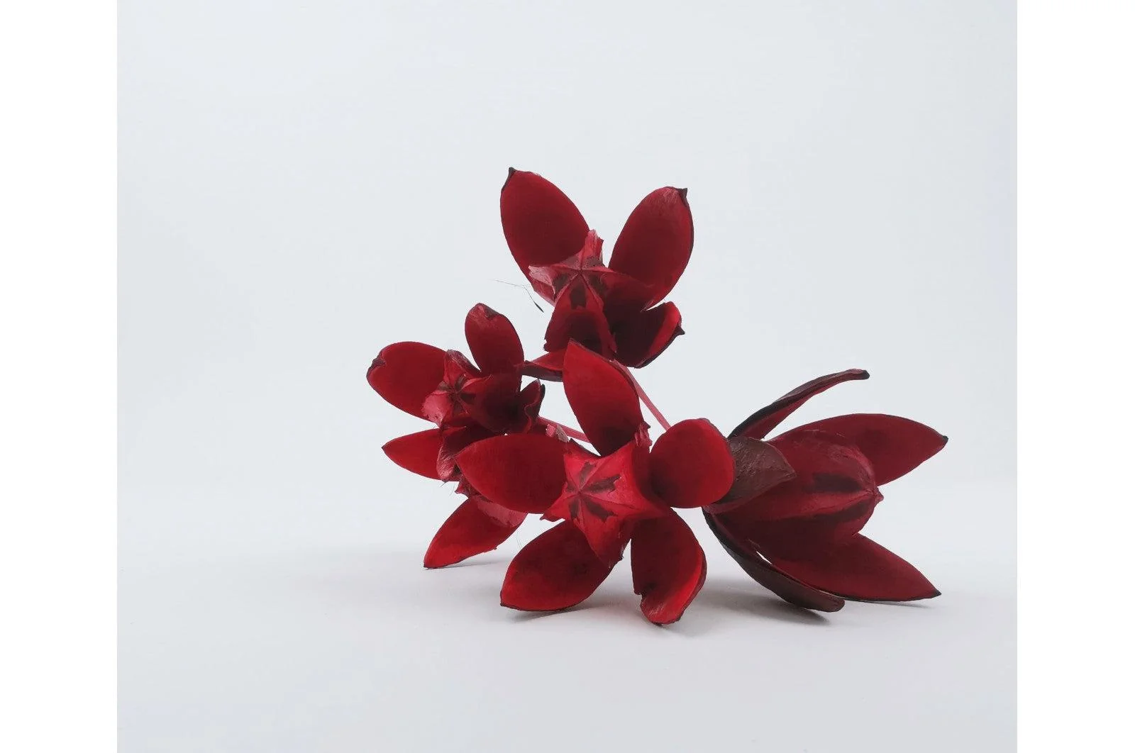 Italian Red Lily Flower Bouquet - Image 4