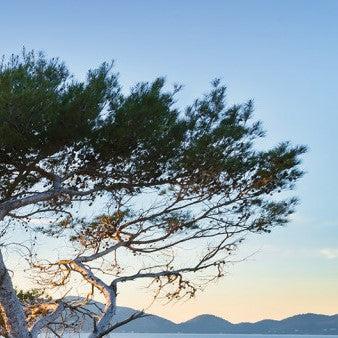 Reflecting Nature Mural Wallpaper - Image 6