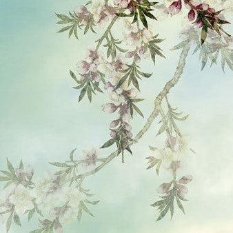 Sakura Mural Wallpaper - Image 4