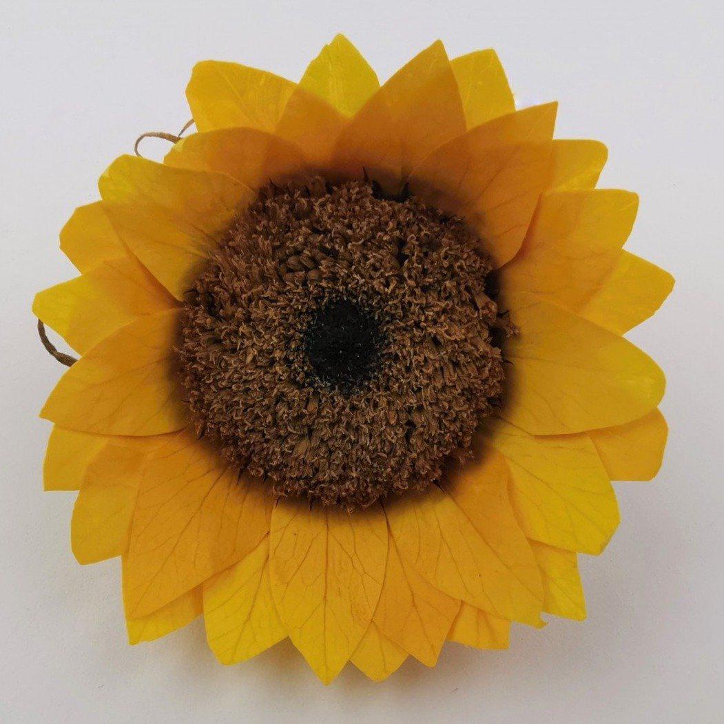 Spanish Natural Sunflower Head - Image 3