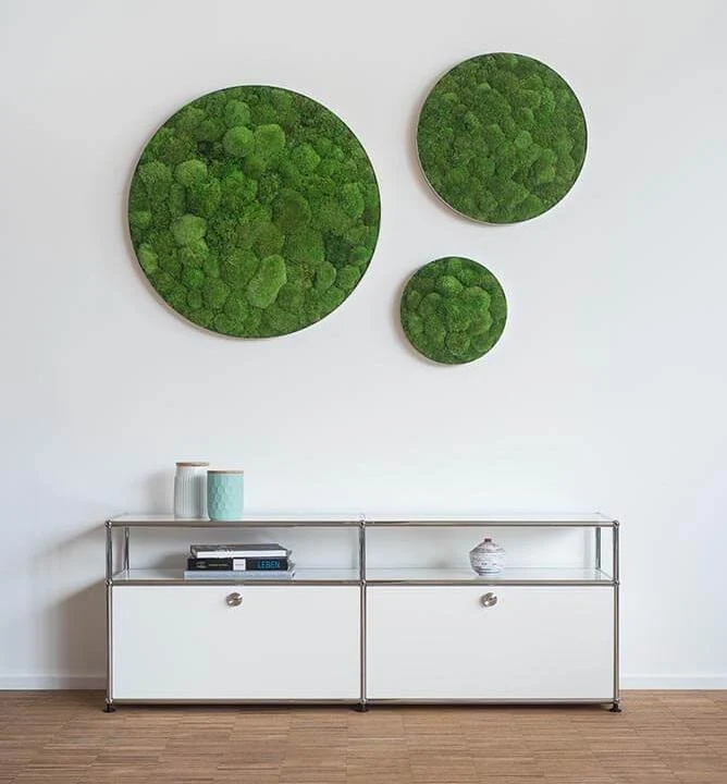 Green Circle Decorative Moss Wall Art - Image 11