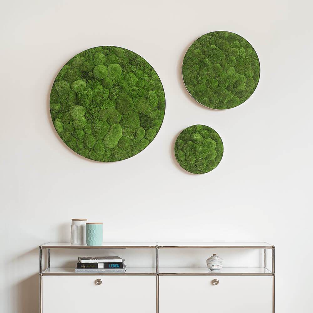 Green Circle Decorative Moss Wall Art - Image 12
