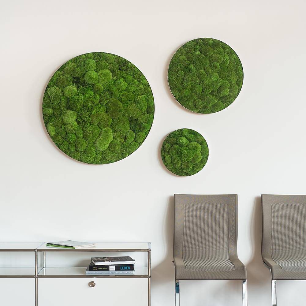 Green Circle Decorative Moss Wall Art - Image 13