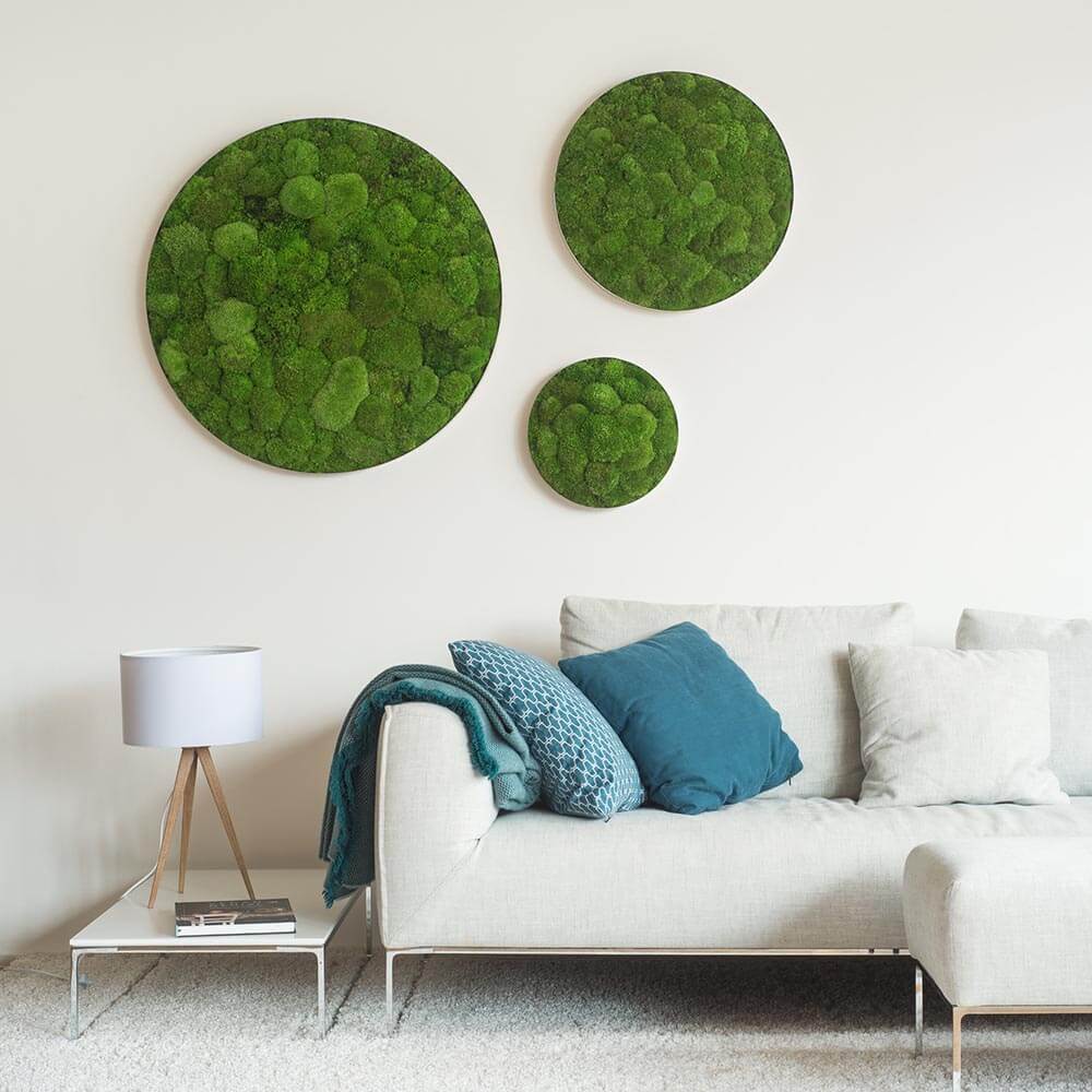 Green Circle Decorative Moss Wall Art - Image 14