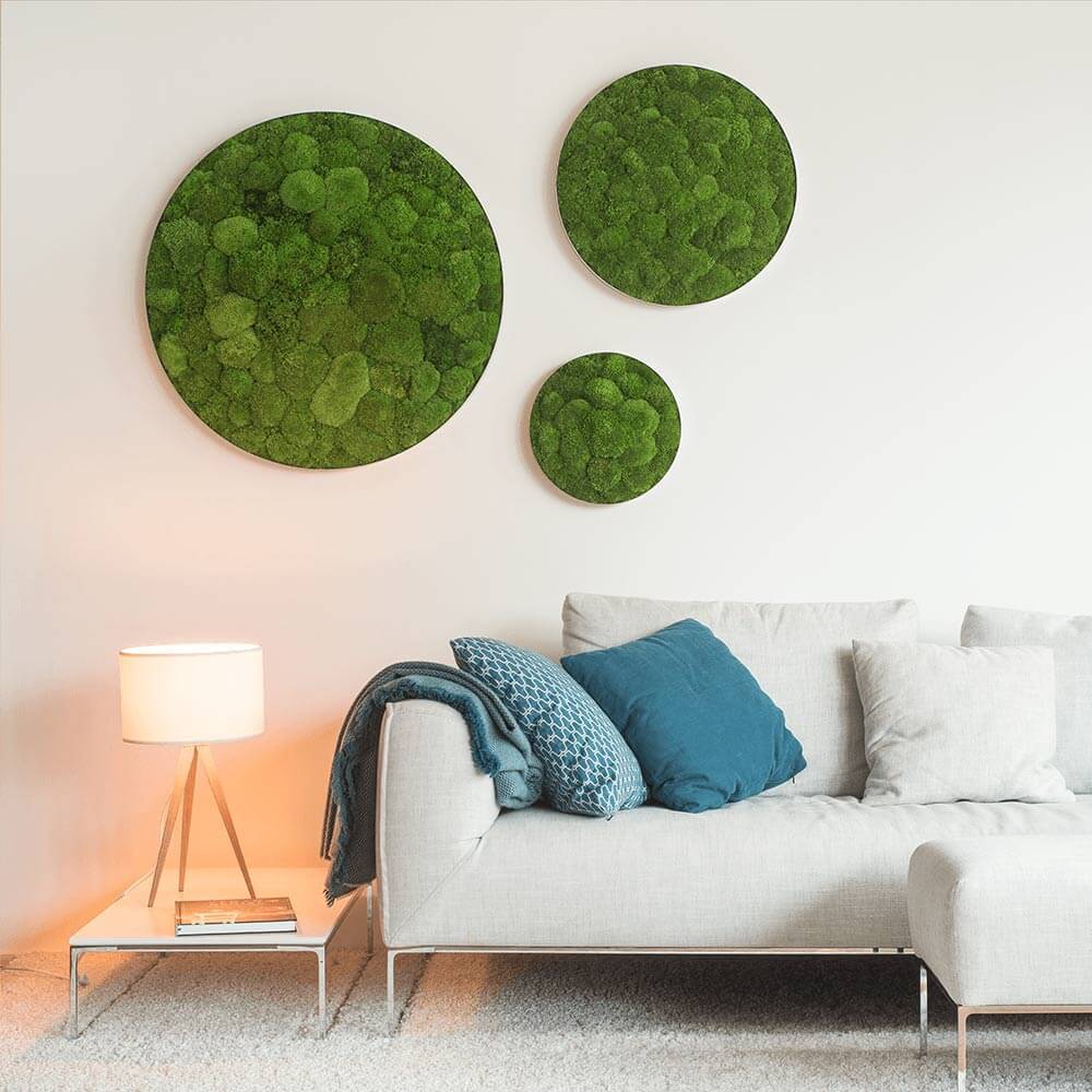 Green Circle Decorative Moss Wall Art - Image 15