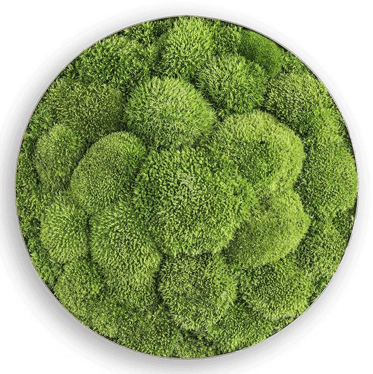 Green Circle Decorative Moss Wall Art - Image 18