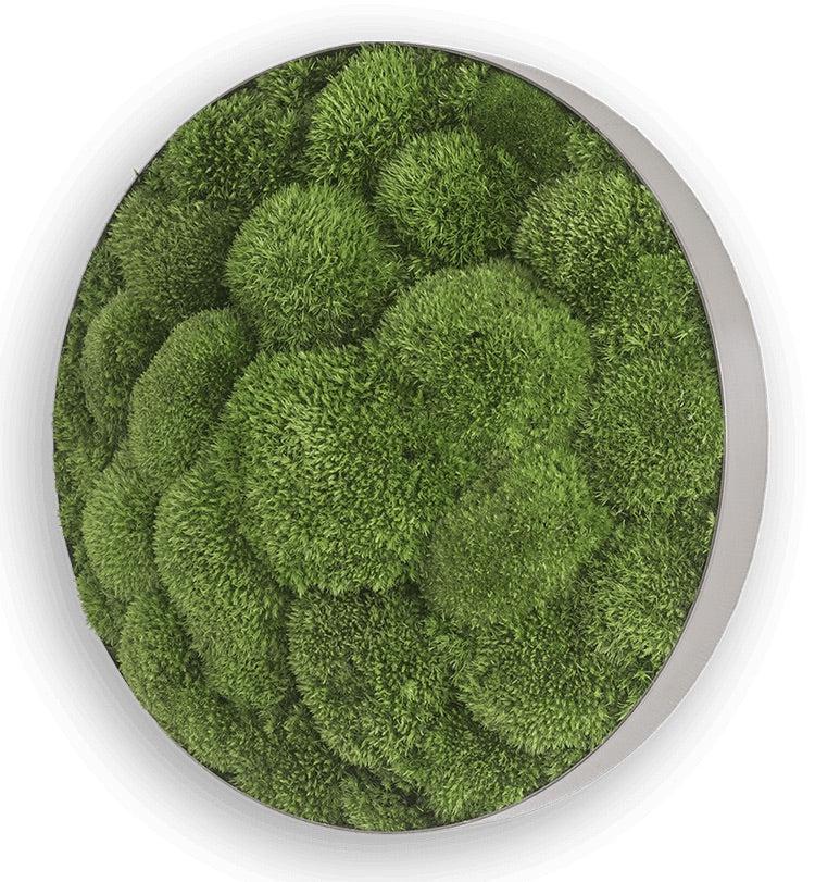 Green Circle Decorative Moss Wall Art - Image 20