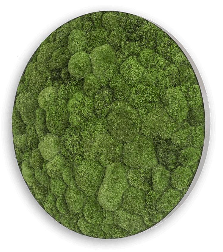Green Circle Decorative Moss Wall Art - Image 22