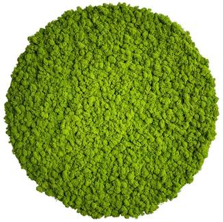 Green Circle Decorative Moss Wall Art - Image 24