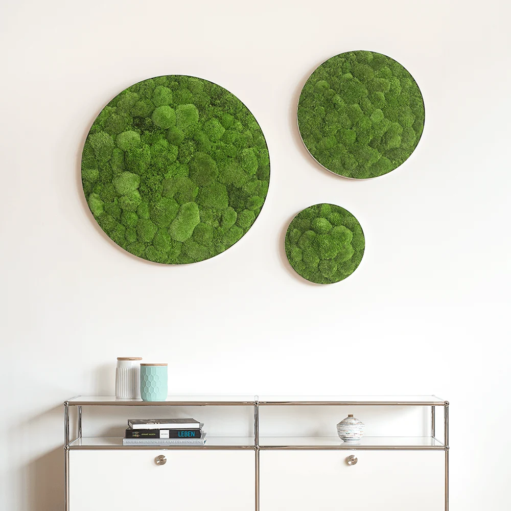 Green Circle Decorative Moss Wall Art - Image 3