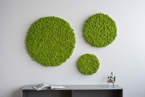 Green Circle Decorative Moss Wall Art - Image 4