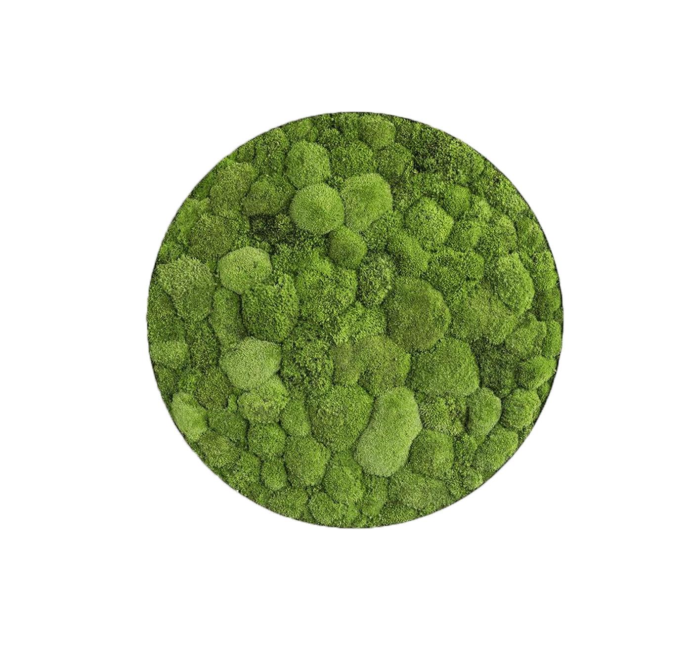 Green Circle Decorative Moss Wall Art - Image 5