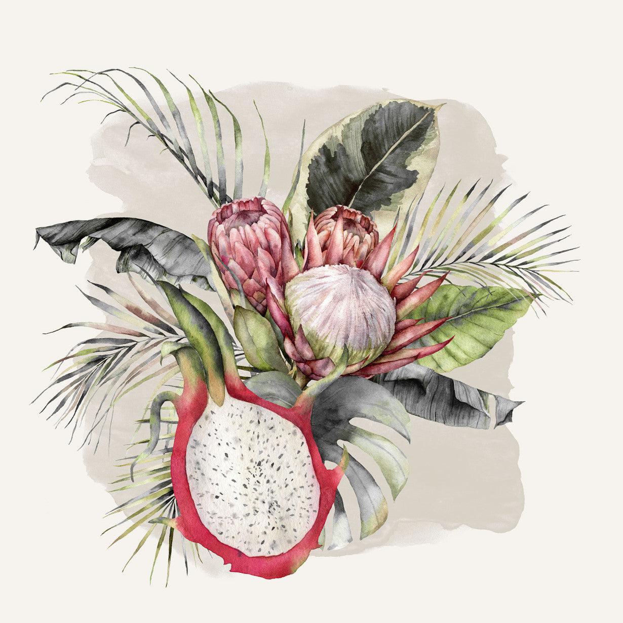 Sweet Pitaya Stretched Canvas - Image 2