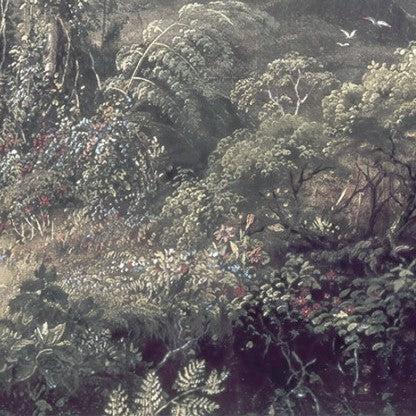 The Exotic Land Mural Wallpaper - Image 5