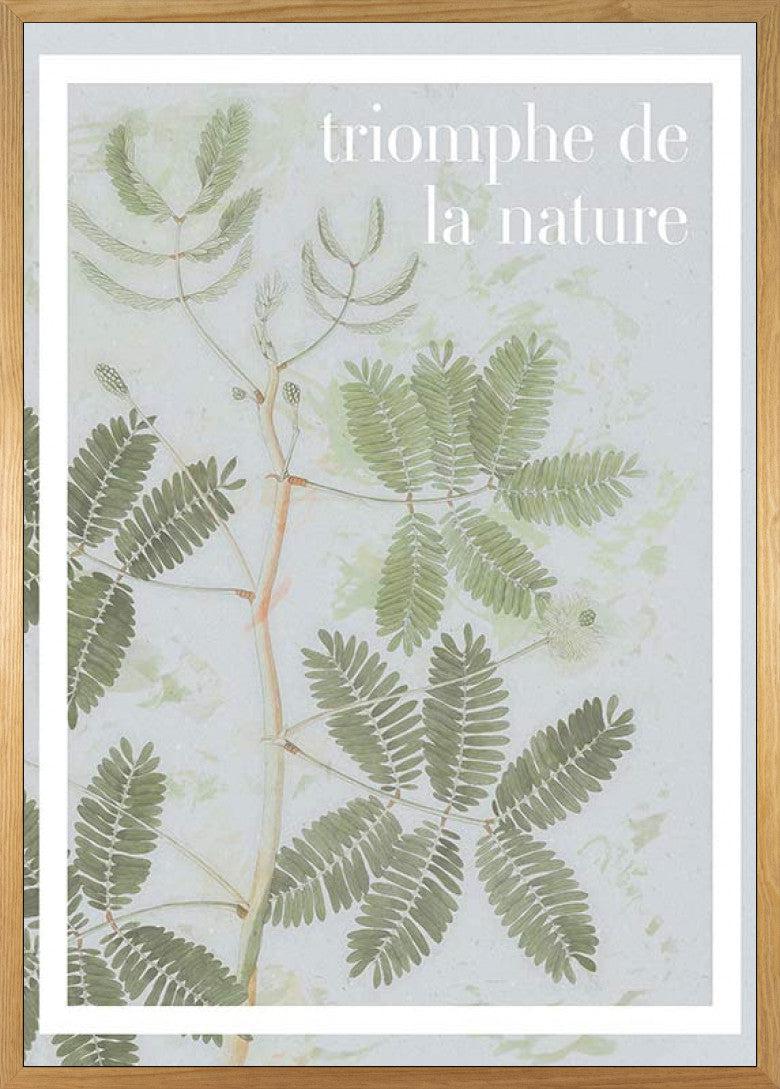 Triomphe de la Nature Art Poster