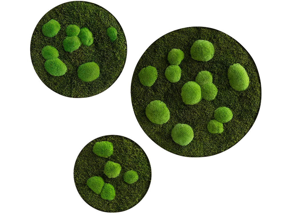 Circle Forest Bun Moss Wall Art - Image 11