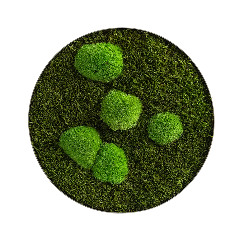 Circle Forest Bun Moss Wall Art - Image 14