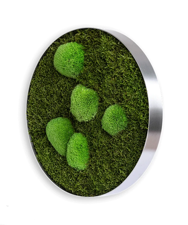 Circle Forest Bun Moss Wall Art - Image 15