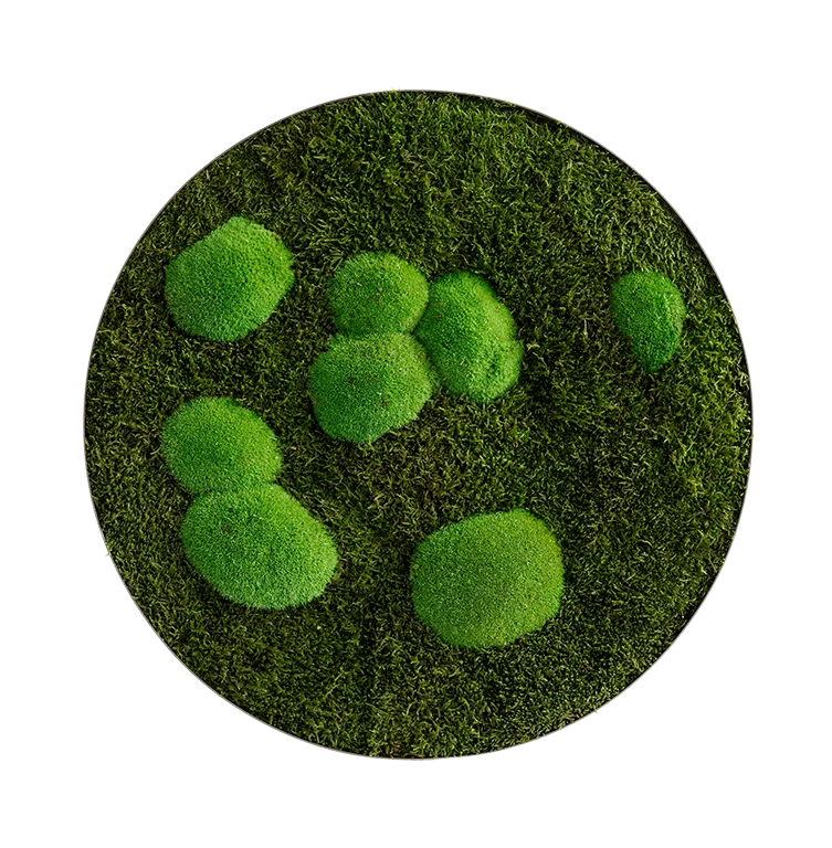 Circle Forest Bun Moss Wall Art - Image 16