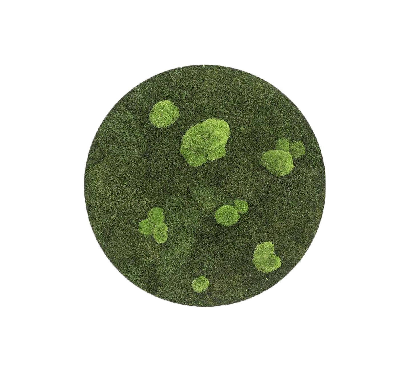 Circle Forest Bun Moss Wall Art - Image 3