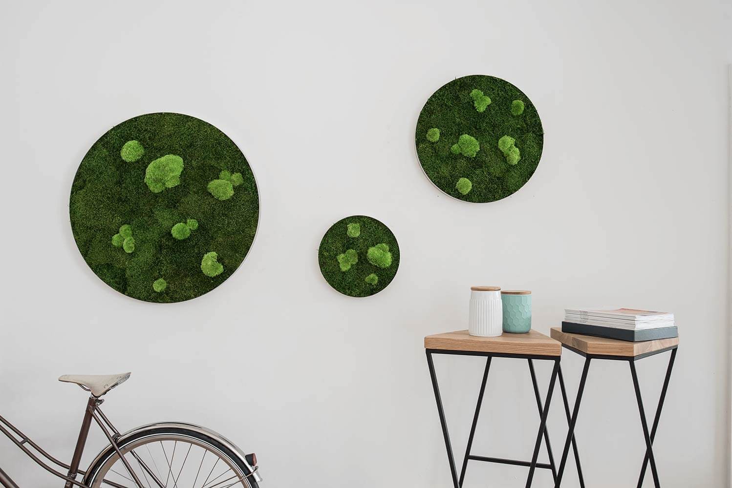 Circle Forest Bun Moss Wall Art - Image 5