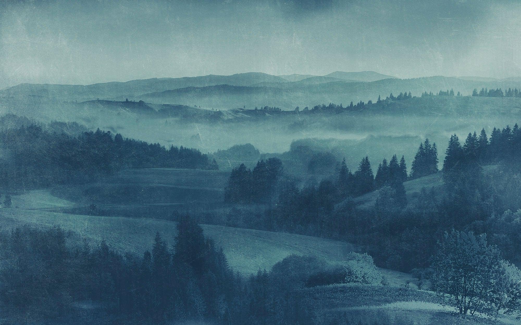 Twilight Mural Wallpaper - Image 2