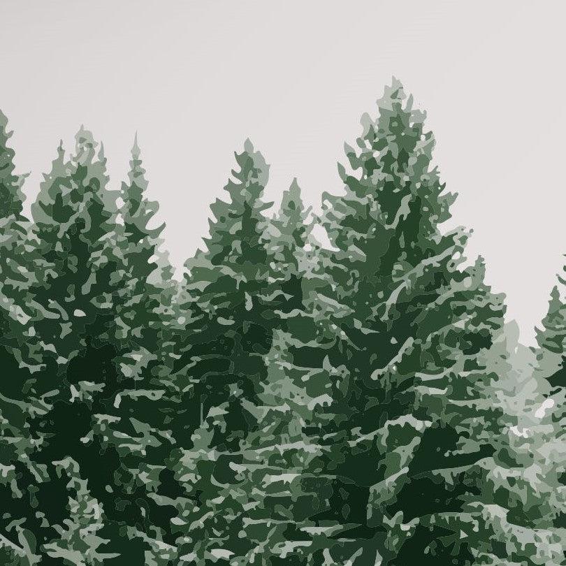 Pine Trees Mural Wallpaper - Image 4