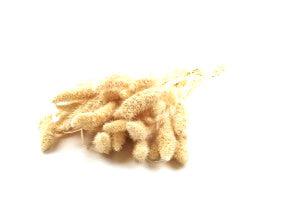 Italian White Setaria Bouquets - Image 3