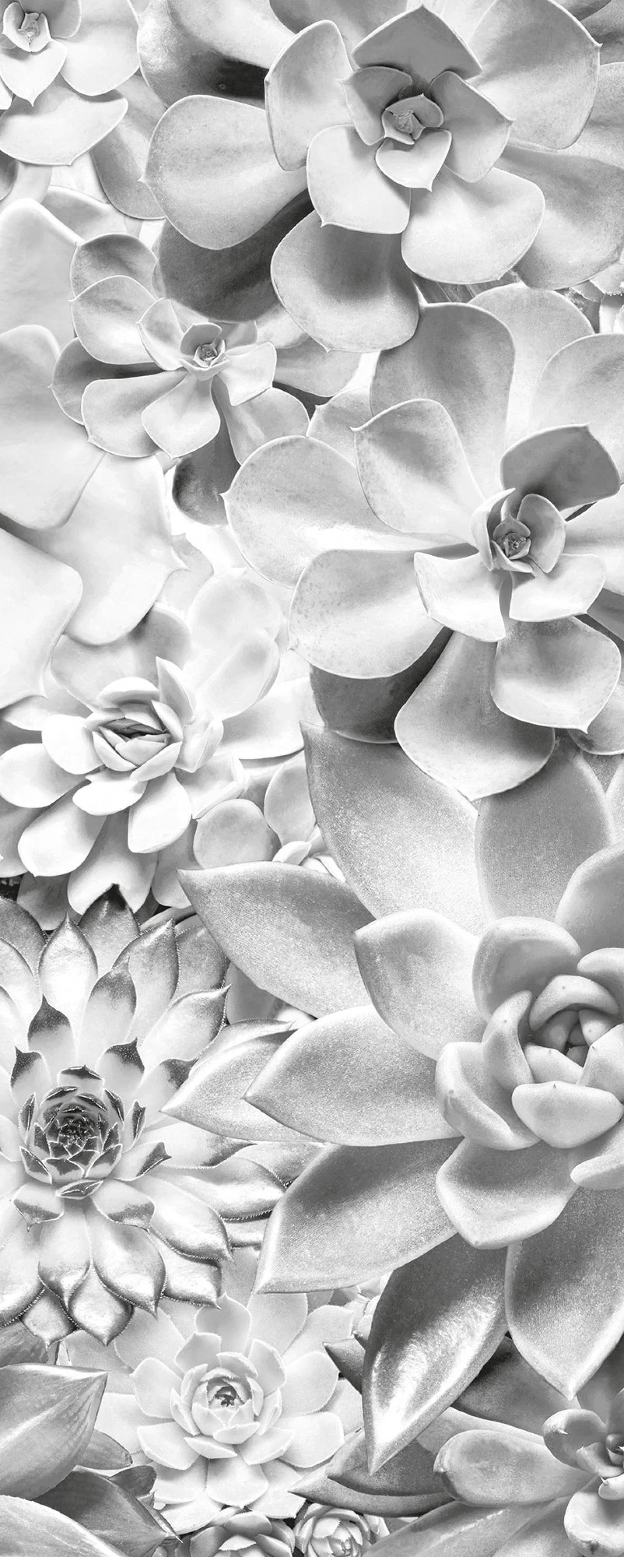 Shades Black and White Mural Wallpaper - Image 4