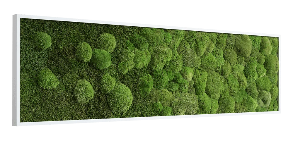 Wide Merging Moss Wall Art (140x40cm) - Image 3