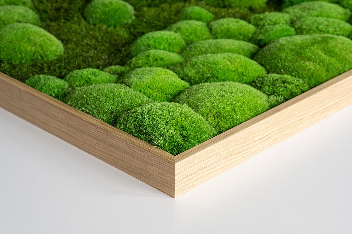 Wide Merging Moss Wall Art (140x40cm) - Image 6