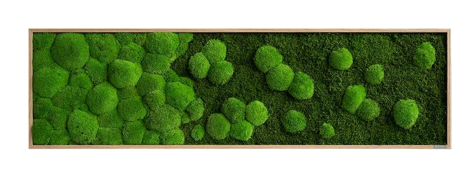 Wide Merging Moss Wall Art (140x40cm) - Image 7